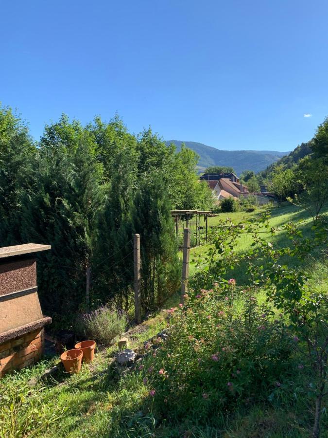 Chalet Rustique, 3Pieces, Jusqu'A 6 Personnes Urbès Exterior foto